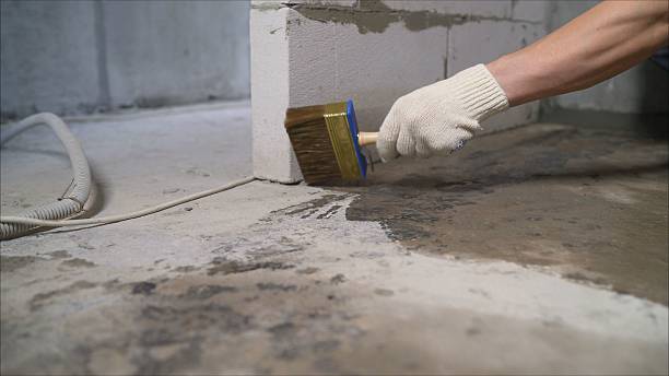 SJ Waterproofing Pros Exterior Waterproofing coverage map for Geneva, OH and surrounding area